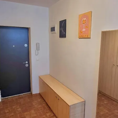 Banu * Timisoara