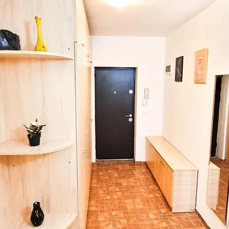 Banu Apartment Timisoara