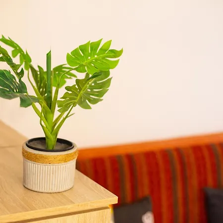 Apartment Banu